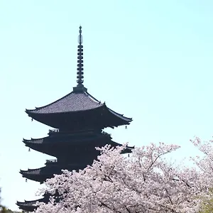 Sakura Tsubaki 3*, Kyōto Japan